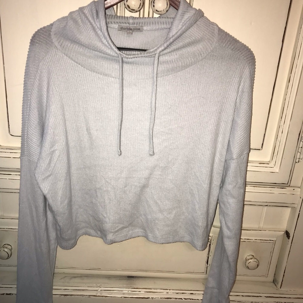 Charlotte Russe cropped hoodie long sleeve❄️